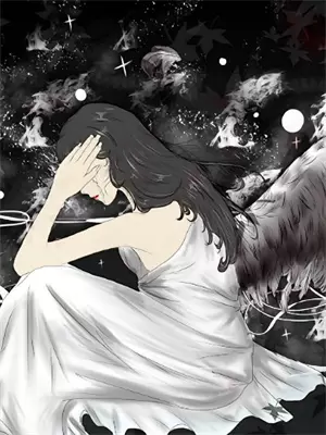 宝莲灯之小说