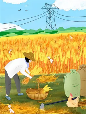 向阳里的她