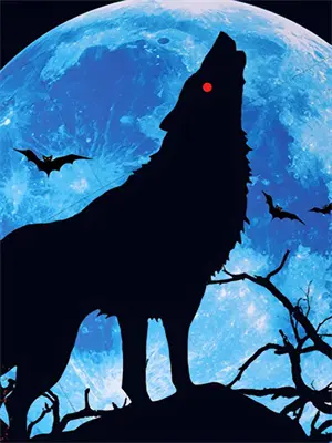 抗战之浴血大兵免费阅读